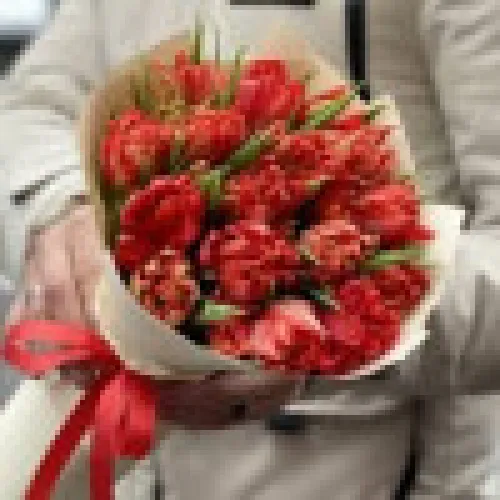Tulipan Abba