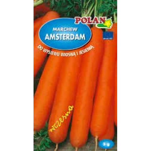 Mrkva Amsterdam 3 (5g.)