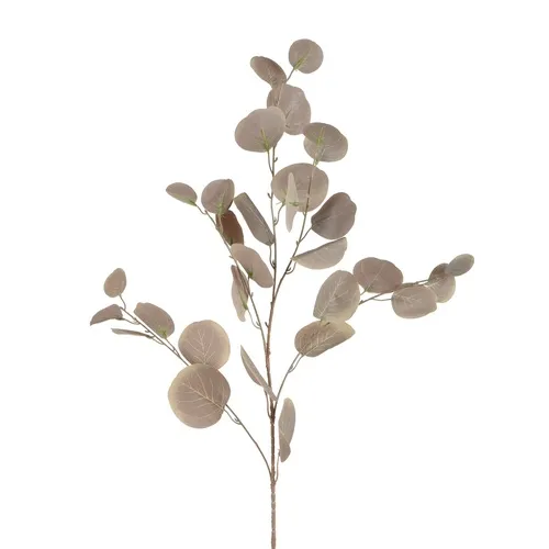 Eukalyptus – 85 cm vetvička brown R314