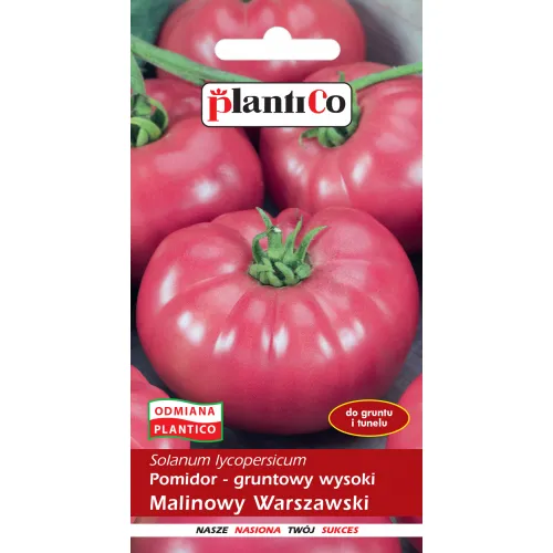 Paradajka Malinowy Waršawsky