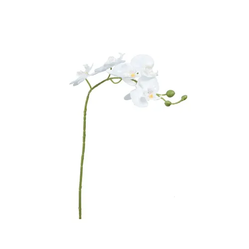 Orchidea – vetvička 71 cm K418