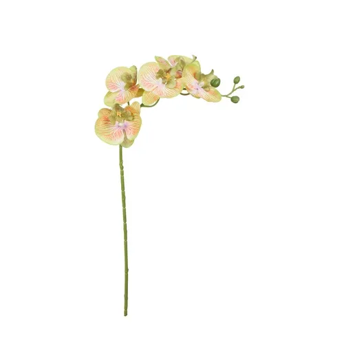 Orchidea – vetvička 71 cm K418