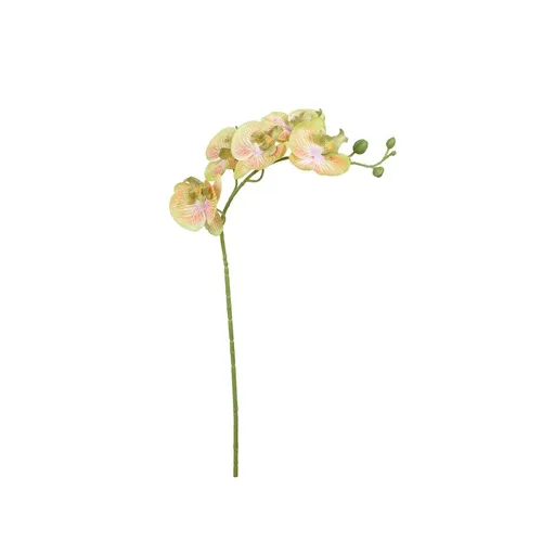 Orchidea – vetvička 71 cm K418