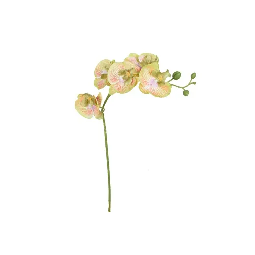 Orchidea – vetvička 71 cm K418