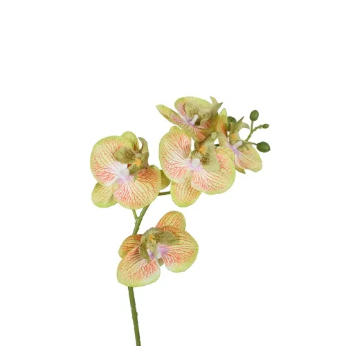 Orchidea – vetvička 71 cm K418