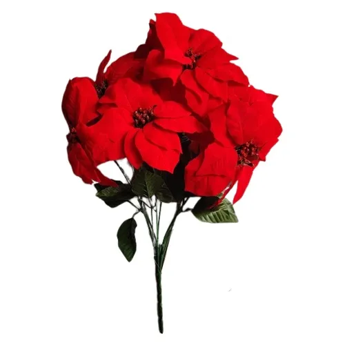 Vianočná ruža/Poinsettia – kytica X303