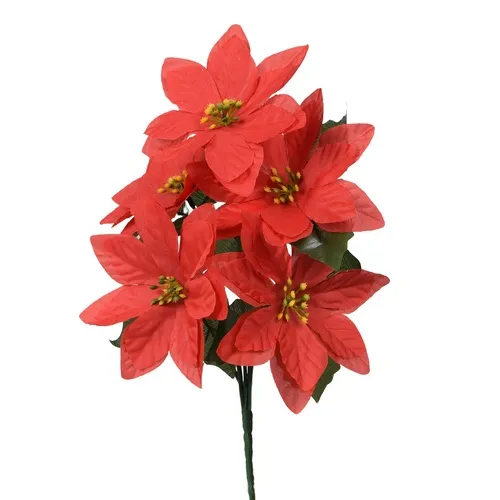 Vianočná ruža/Poinsettia  bouquet X403