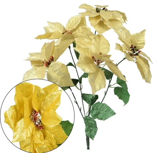 Poinsettia – kytica cream X304