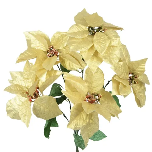 Poinsettia – kytica cream X304
