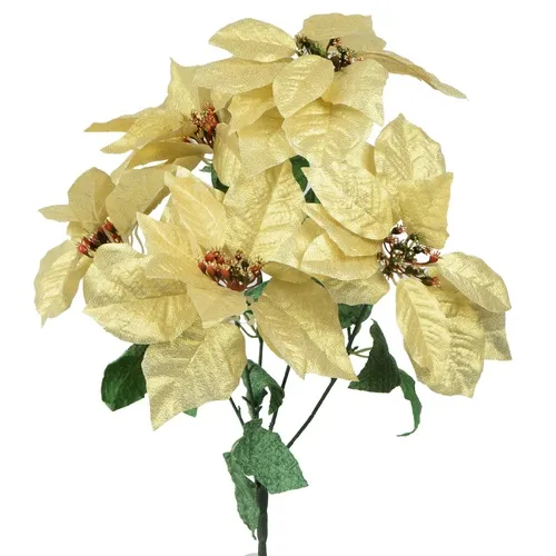 Poinsettia – kytica cream X304