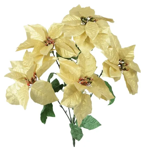 Poinsettia – kytica cream X304