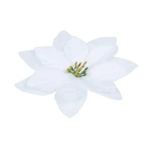 Vianočná hviezda – hlava 6 ks 13 cm white W433X
