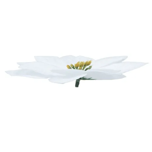 Vianočná hviezda – hlava 6 ks 13 cm white W433X