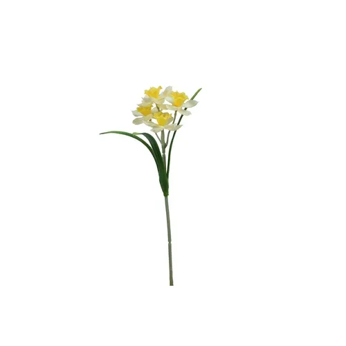 Narcis - pogumovaný šilt 31 cm DK073E