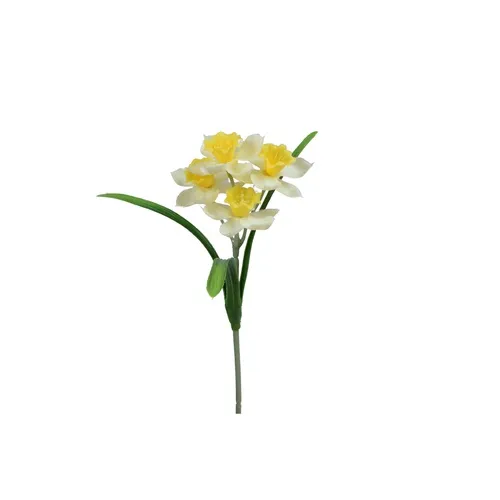 Narcis - pogumovaný šilt 31 cm DK073E