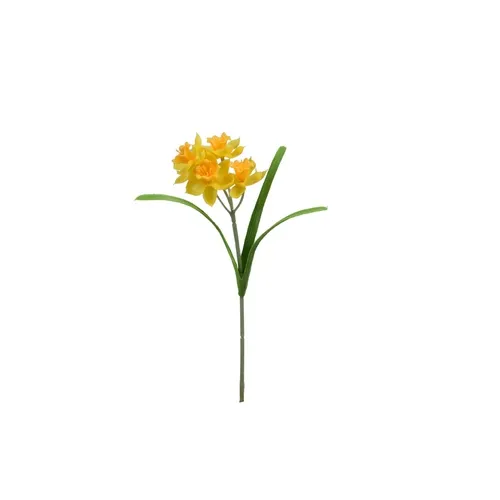 Narcis - pogumovaný šilt 31 cm DK073E