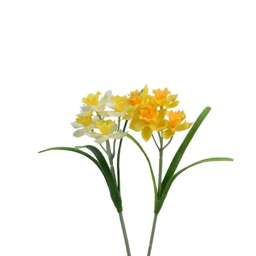 Narcis - pogumovaný šilt 31 cm DK073E