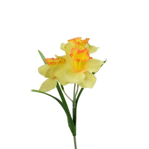 Narcis - 35 cm šilt DK074E