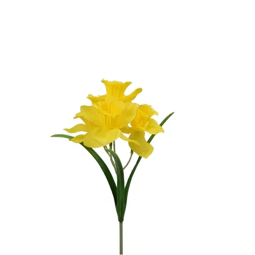 Narcis - 35 cm šilt DK074E