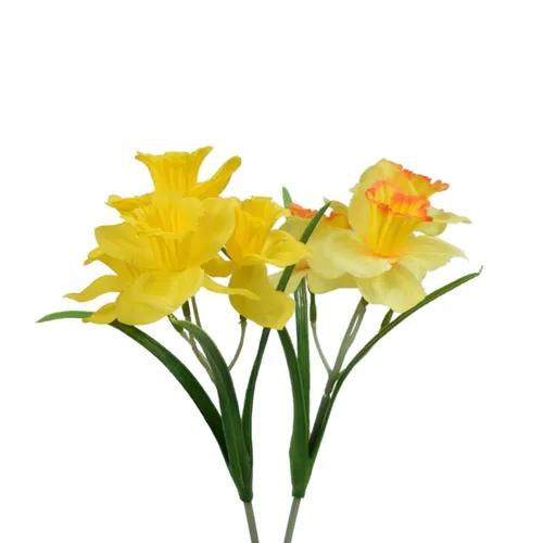 Narcis - 35 cm šilt DK074E