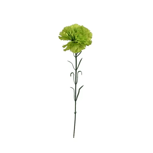 Karafiát – vetvička 54 cm  Green GK148