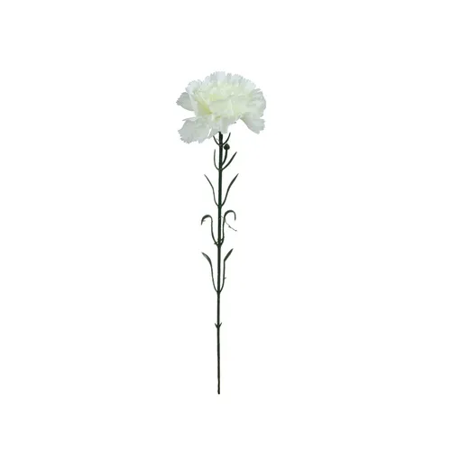 Karafiát – vetvička 54 cm white GK148