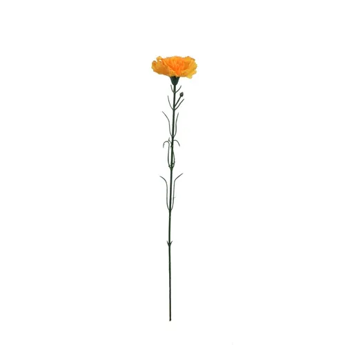 Karafiát – vetvička 54 cm Orange GK148