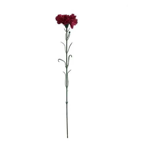 Karafiát – vetvička 54 cm bordová  GK148