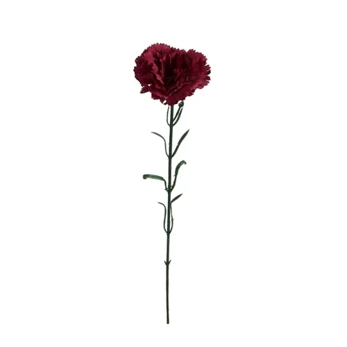 Karafiát – vetvička 54 cm bordová  GK148