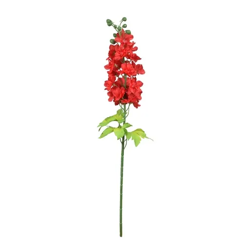 Delphinium Delphinium – vetvička 80 cm Red GK157