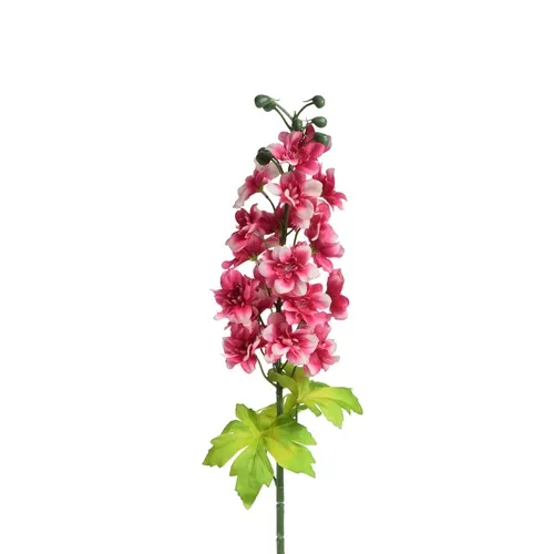 Delphinium Delphinium – vetvička 80 cm Red/White GK157
