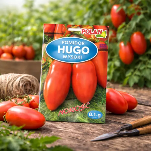 Paradajka HUGO