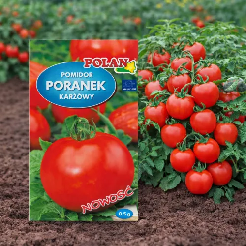 Paradajka Poranek 0.5g