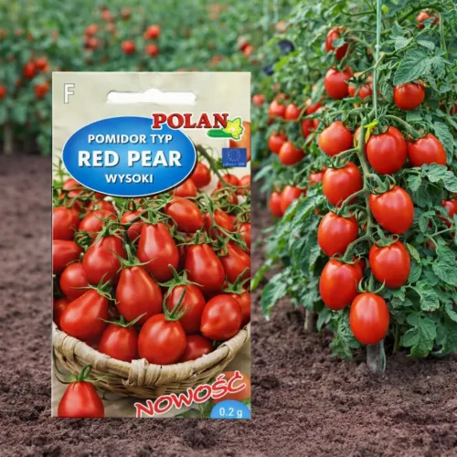 Paradajka Red Pear 0.2g