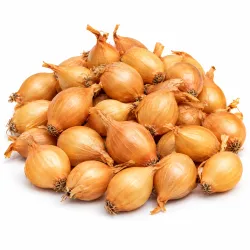 Sadbová cibuľa Radar 250 g – jesenná výsadba