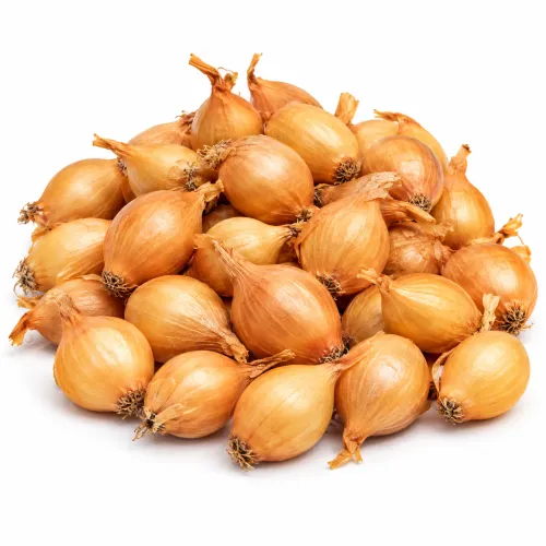 Sadbová cibuľa Radar 250 g – jesenná výsadba