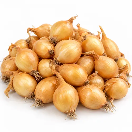 Sadbová cibuľa Senshyu Yellow 250 g – jesenná výsadba Sadbová cibuľa Senshyu Yellow 250 g – jesenná výsadba