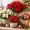Vianočná ruža – Poinsettia (vianočná hviezda)